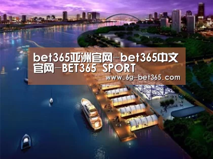 案例展示八