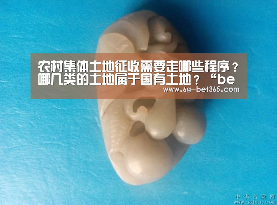 农村集体土地征收需要走哪些程序？哪几类的土地属于国有土地？“bet365”(图1)