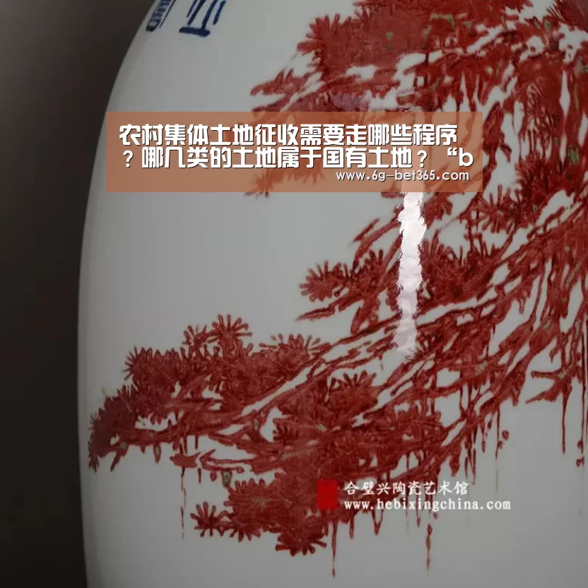 农村集体土地征收需要走哪些程序？哪几类的土地属于国有土地？“bet365”(图2)